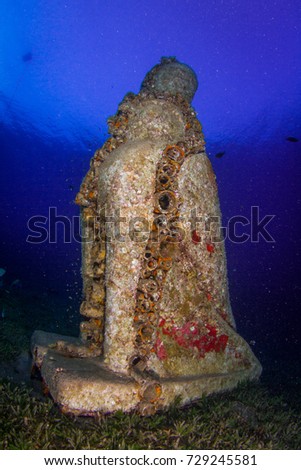 Underwater artificial reef. Wide angle underwater photography. Underwater landscape and scenery. Red Sea. Dahab, Egypt.