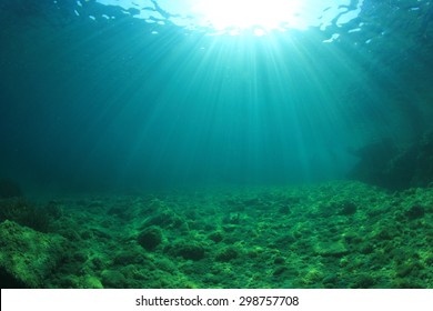 Underwater Background