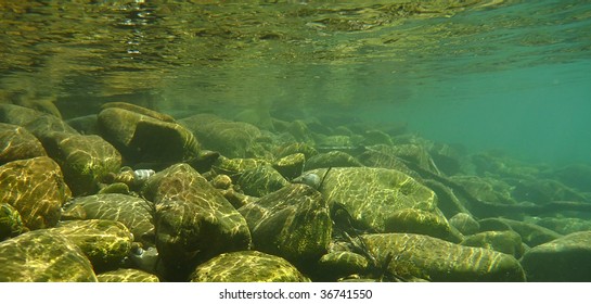 Underwater Background - Green River Bottom