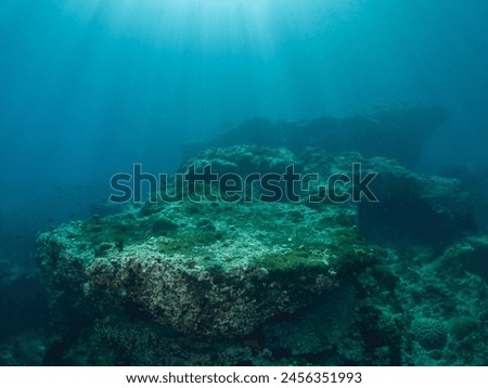 Underwater Background. Point of View from Underwater Diving, Natural Sun Ray. Indo Pacific Ocean. Southeast Asia.       