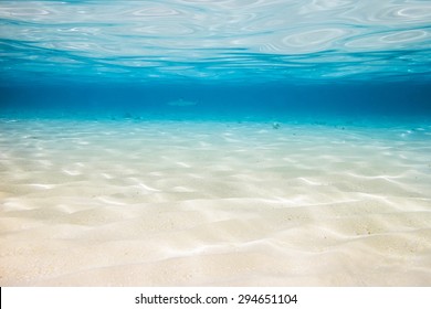 underwater background with sandy sea bottom - Shutterstock ID 294651104