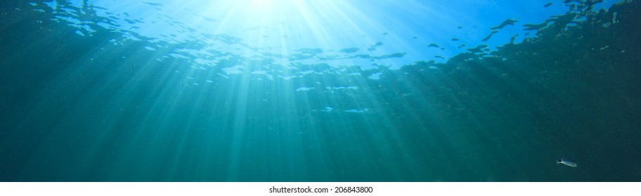 Underwater background in sea - Shutterstock ID 206843800