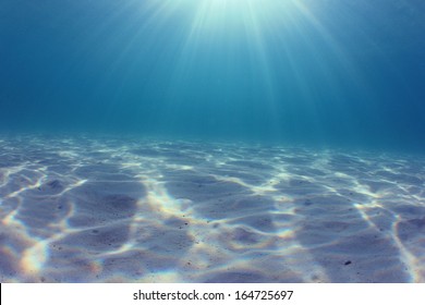 35,128 Sea bottom texture Images, Stock Photos & Vectors | Shutterstock