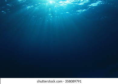 Underwater blue background in sea - Shutterstock ID 358089791