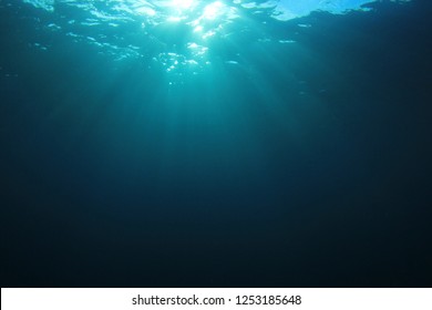Underwater blue background and sunlight in ocean  - Shutterstock ID 1253185648
