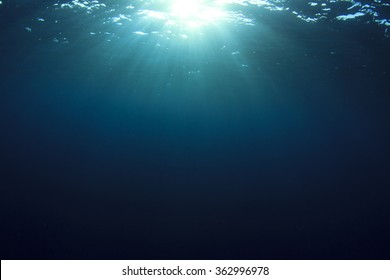 underwater sunlight wallpaper