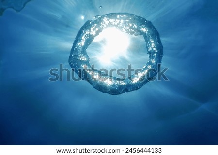 Underwater Bubble Ring Ascends towards the Sun