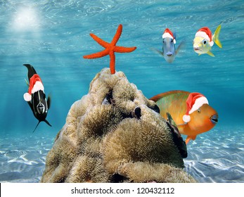 Underwater Christmas Scene With Funny Tropical Fish In Red Santa Claus Hat And A Starfish On Top Of A Pile Of Sea Anemone