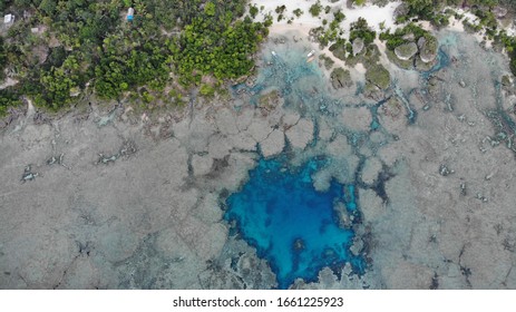 Underwater Coral In Beach Cave, Tana Island, Vanuatu