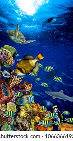 underwater coral reef landscape in the deep blue ocean with colorful fish and marine life vertical format smartphone background wallpaper - Shutterstock ID 1066366193