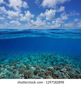 Underwater coral reef seabed with blue sky and cloud, split view half over and under water surface, Pacific ocean, French Polynesia