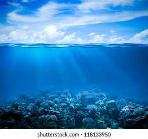 Underwater coral reef seabed view with horizon and water surface split by waterline