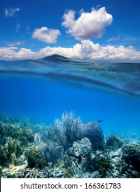 Underwater Coral Reef With Water Surface And Cloudy Blue Sky Horizon Split By Waterline