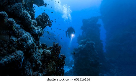 Underwater Diver In Deep Sea Dive