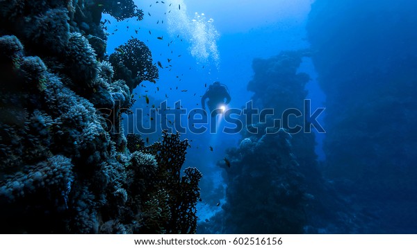 Underwater diver in deep sea\
dive