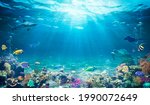 Underwater Diving  - Tropical Scene With Sea Life In The Reef
