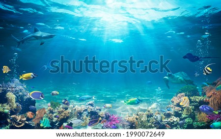 Underwater Diving  - Tropical Scene With Sea Life In The Reef
