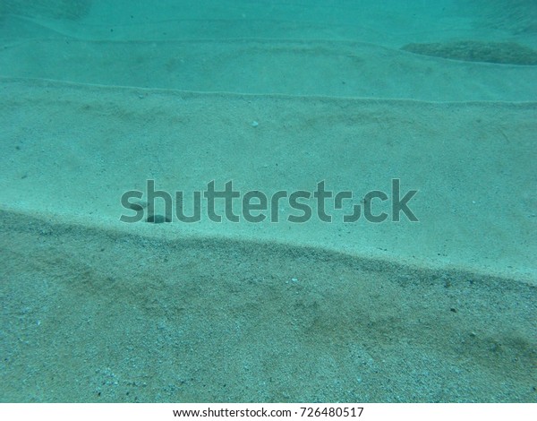 Underwater Dunes Sand Line Ocean Floor Stock Photo Edit Now