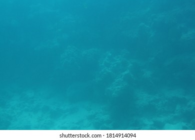 underwater fish coralreef sunken ship  