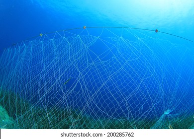 Dumped Fishing Gear Is Killing Marine Yet No Governments, 53% OFF