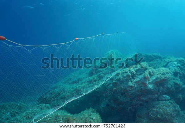 Underwater a fishing net\
(gillnet) fixed on rocks on the seabed, Mediterranean sea, Costa\
Brava, Spain