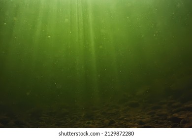 Underwater Fresh Water Green Background With Sun Rays Under, Water