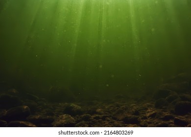 underwater fresh water green background with sun rays under, water