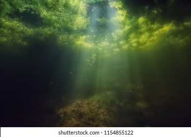 underwater freshwater green landscape / underwater landscape of the lake ecosystem, algae, green water, fresh water