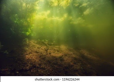 Underwater Freshwater Green Landscape / Underwater Landscape Of The Lake Ecosystem, Algae, Green Water, Fresh Water