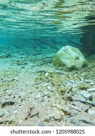 Underwater Great Lakes With Zebra Mussels.