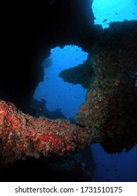 Underwater Landscape In Arabian Sea, Baa Atoll, Maldives, Underwater Photograph