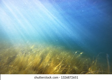 Underwater Landscape, Bothnian Bay, Finland