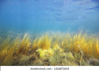 Underwater Landscape, Bothnian Bay, Finland