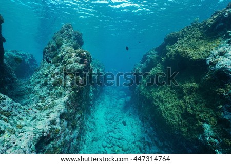 Underwater landscape on the outer reef carved by the swell, Huahine island, Pacific ocean, French Polynesia
