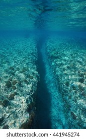 Underwater Landscape, Trench Carved By Wave Swell Into The Coral Reef At Huahine Island, Pacific Ocean, French Polynesia