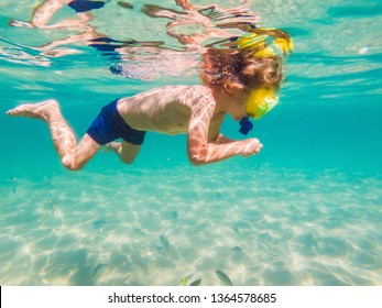 Underwater nature study, boy snorkeling in clear blue sea - Powered by Shutterstock