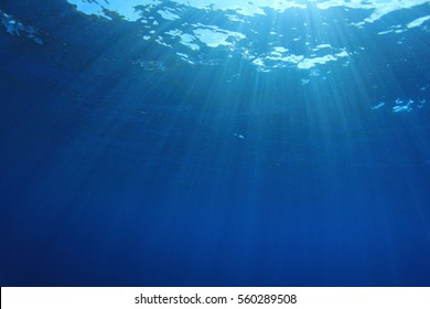 Photo Sous Marine Images Stock Photos Vectors Shutterstock