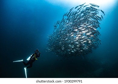 Underwater Of The Ocean And Scuba Diver