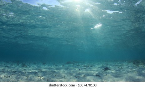 Underwater Ocean Sea Floor Background Stock Photo 1087478108 | Shutterstock