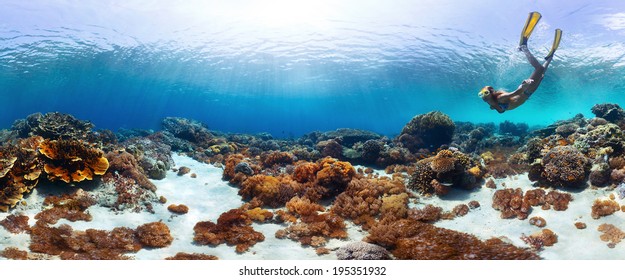 Underwater panorama of the young lady snorkeling over vivid coral reef in tropical sea. Bali Barat National Park, Indonesia