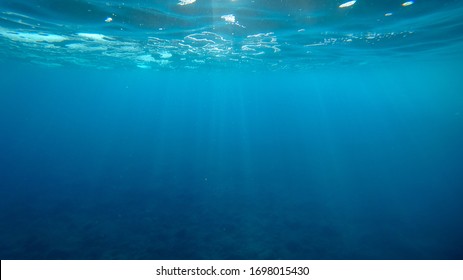 Underwater photo of atlantic ocean near the Canary Islands