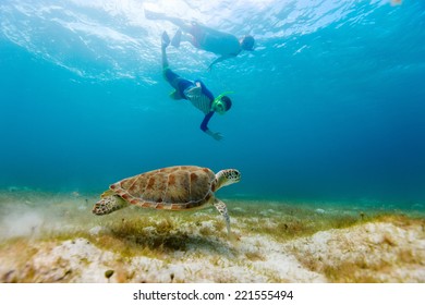 Underwater photo of family mother and son snorkeling and swimming with Hawksbill sea turtle - Powered by Shutterstock