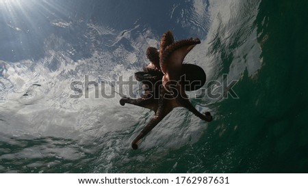 Similar – Image, Stock Photo Life on the Abyss