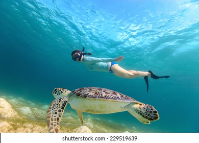 Underwater photo of young woman snorkeling and swimming with Hawksbill sea turtle