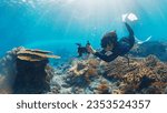 Underwater photographer takes pictures of the healthy coral reef. Freediver with camera swims over the reef. Nusa Penida, Bali, Indonesia