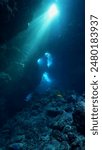 Underwater photography of rays of sunlight inside a cave. From a dreamlike environment in the deep blue ocean.