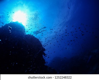 Underwater Photography Of Scuba Diver And Cliff Of Reef At Gulf Of Thailand Sea.