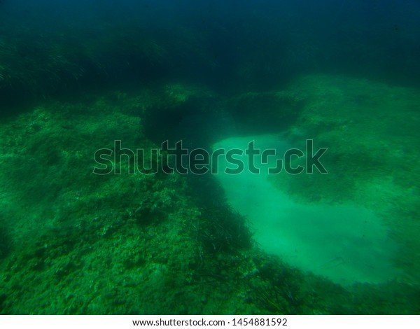 Underwater Photos Taken Mini Submarine Cost Stock Photo Edit Now 1454881592