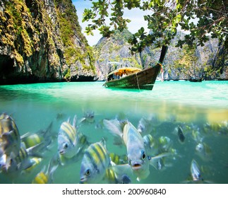 Underwater picture with fish and traditional longtail boat in Maya bay, Ko Phi Phi Le, Tailand