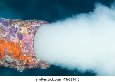 Underwater Pipe Creating Polution In The Maldives,Indian Ocean. 